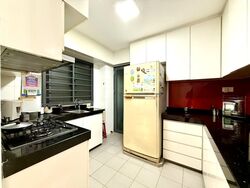 Blk 1 The Pinnacle@Duxton (Bukit Merah), HDB 4 Rooms #503188671